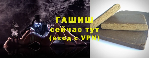 индика Сатка