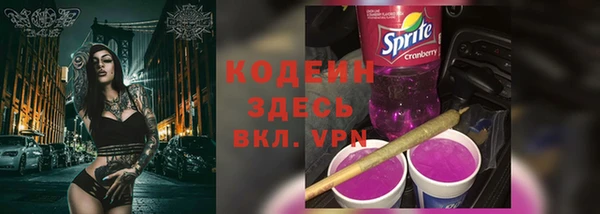 индика Сатка