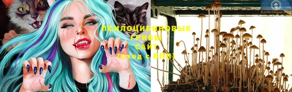 синтетический гашиш Белокуриха